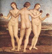 RAFFAELLO Sanzio The Three Graces F painting